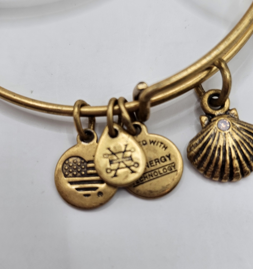 Alex And Ani Charm Bangle Bracelet, Set Of 3 - Picture 2 of 8